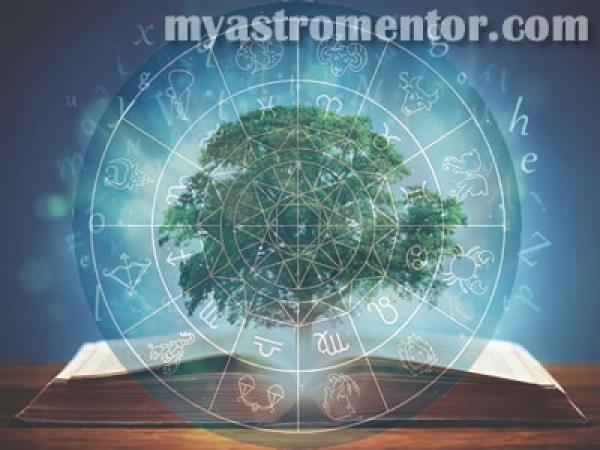Various Types of Astrology Branches